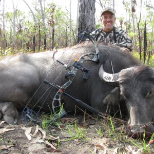 Australian Water Buffalo