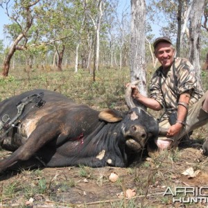 Scrub Bull-Australia