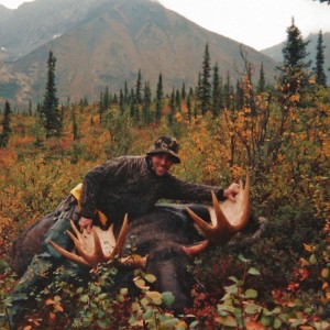 Alaskan=Yukon Moose