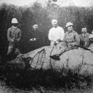 Hunting Rhino 1886