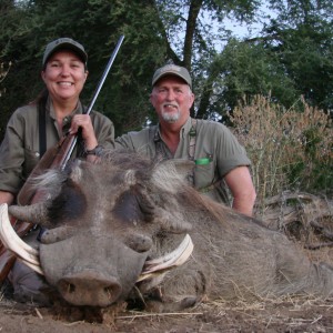 Warthog Imbezie Camp, Lowveld of Zimbabwe