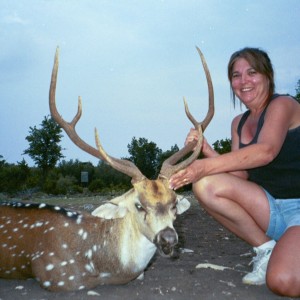 Sonora, TX Sandy's Axis buck 2009