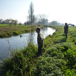 Drahthaar Hunting in France