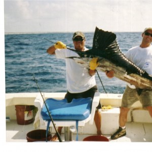 Sail Fish Mexico