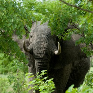 Namibia