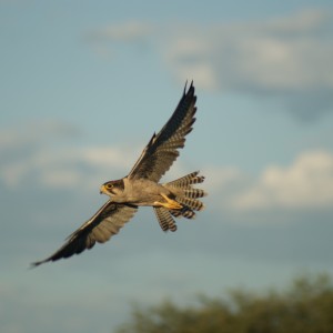 Namibia