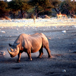 Namibia