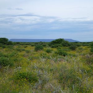 Waterberg Plateau Namibia