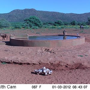 Trail Camera Namibia