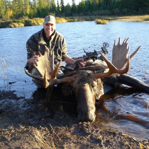 moose in the water