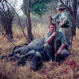 Buffalo shot in 1990 Kasonso, Zambia