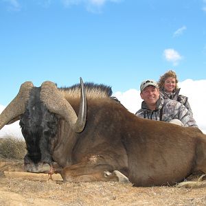 Black Wildebeest hunted with Andrew Harvey Safaris