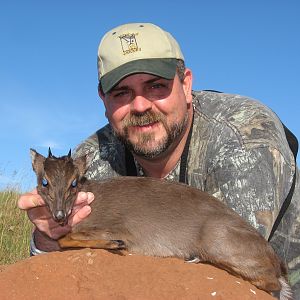 Blue Duiker hunted with Andrew Harvey Safaris