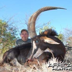 Motsomi Safaris - Sable