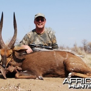 Motsomi Safaris - Bushbuck