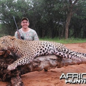 Motsomi Safaris - Leopard