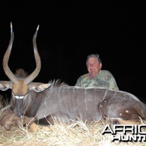 Motsomi Safaris - Nyala