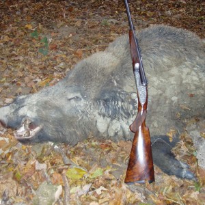 my 9.3x74r jefferys double rifle and a hungarian boar