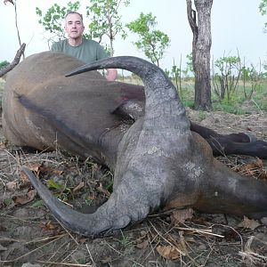 West African Savannah Buffalo hunted in Benin with Club Faune