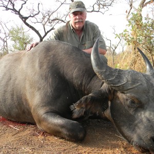 West African Savannah Buffalo hunted in Benin with Club Faune