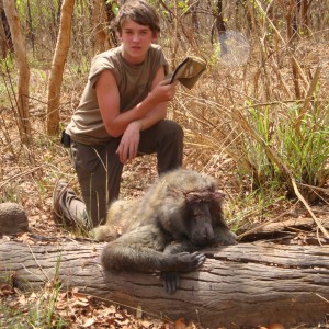 Baboon hunted in Central Africa with Club Faune