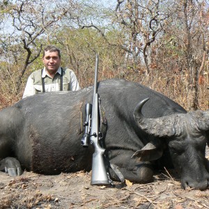 Central African Savannah Buffalo hunted in Central Africa with Club Faune
