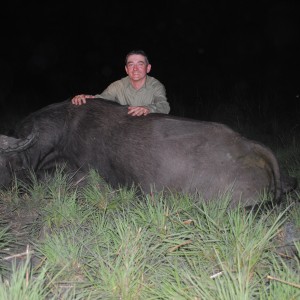 Central African Savannah Buffalo hunted in Central Africa with Club Faune