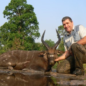 Western Sitatunga hunted in Central Africa with Club Faune
