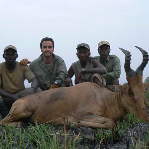 Lelwel Hartebeest hunted in Central Africa with Club Faune