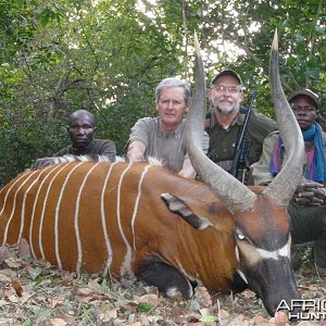 Bongo hunted in Central Africa with Club Faune