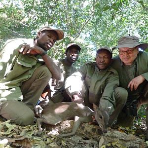 Blue Duiker hunted in Central Africa with Club Faune