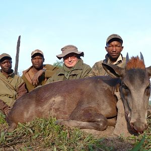 Yellow-Backed Duiker hunted in Central Africa with Club Faune