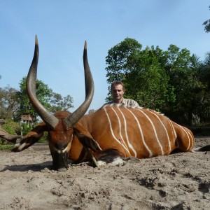 Bongo hunted in Central Africa with Club Faune