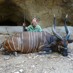 Bongo hunted in Central Africa with Club Faune