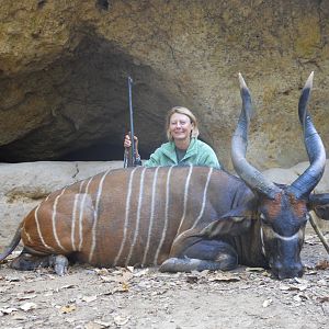 Bongo hunted in Central Africa with Club Faune