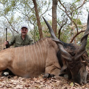 Lord Derby Eland hunted in Central Africa with Club Faune