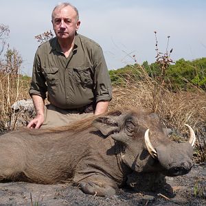 Warthog hunted in Central Africa with Club Faune