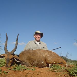 Bushbuck