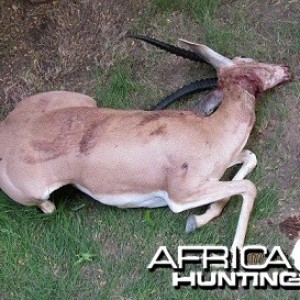 My Gazelle Hunt