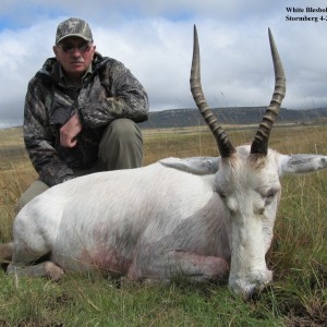 White Blesbok