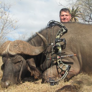 Bow Hunting Cape Buffalo