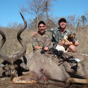 Bow Hunting Kudu