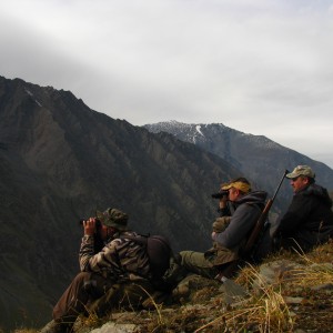 Glassing for Ibex