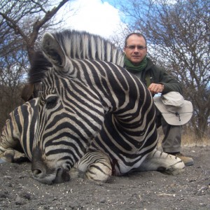 Zebra - Spiral Horn Safaris