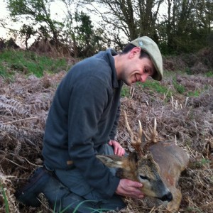 Unusual Roe Buck