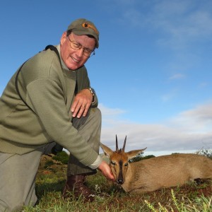 Duiker South Africa