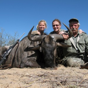 Blue Wildebeest