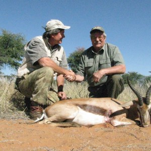 Springbok