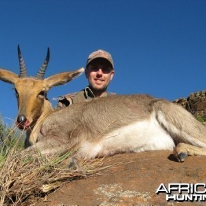 Mountain Reedbuck