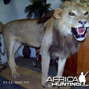 Lion full mount